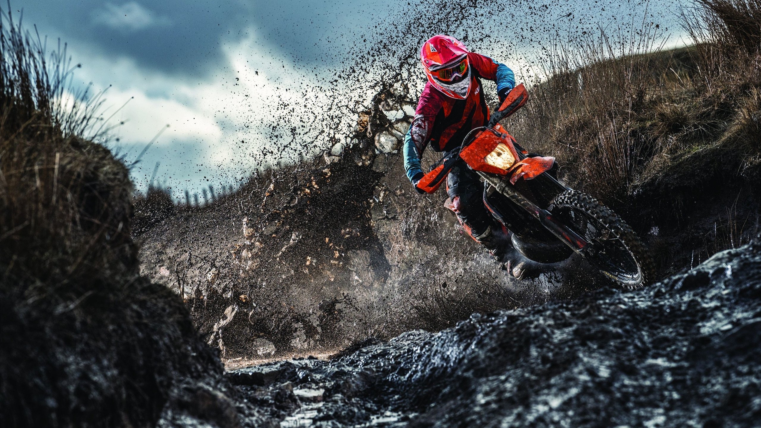 北境冰球联赛激战正酣,豪强争霸,新秀崛起